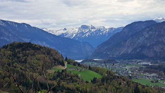 Fotografia z Gerhard Faugel na trase
