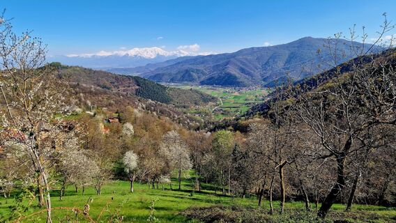 Photo de Fabrizi Mellano le long du parcours