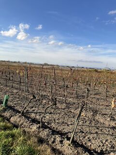 Foto von Daniel Vogel entlang der Tour