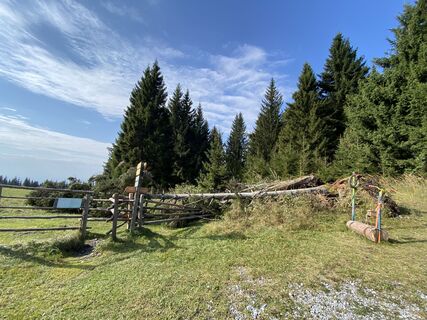 Fotó a Sabine KREUTER honlapról a túra során