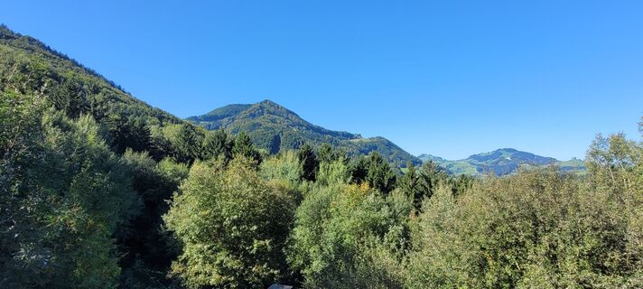 Foto de Nicky a lo largo del recorrido