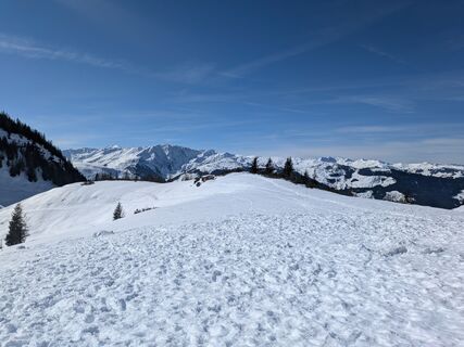 Fotografija s spletne strani toran na poti
