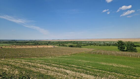 Foto von MauiGra entlang der Tour