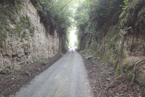 Seelackenbergweg