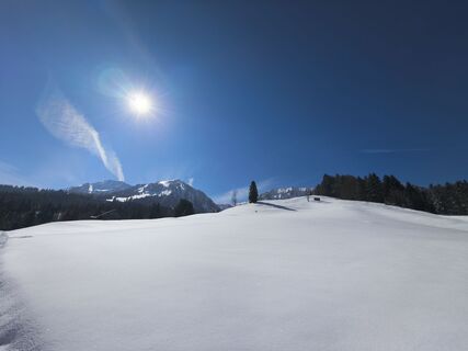 Foto von El Capo entlang der Tour