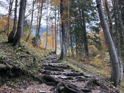 Foto fra Gerardo Brunetti undervejs på turen