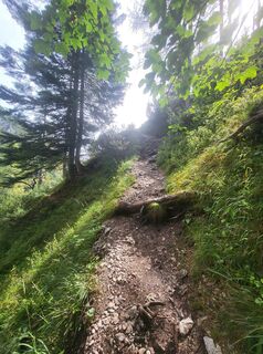 Fotografia z Gudi kowa na trase