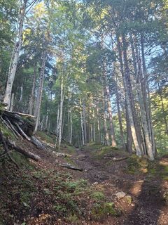 Foto de Gianluca Russo a lo largo del recorrido