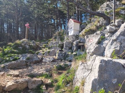 Фото с сайта Grizli во время экскурсии