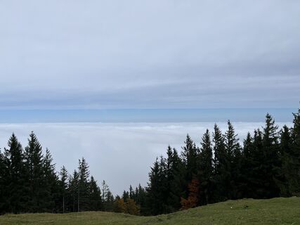 Photo de Andi frei le long du parcours
