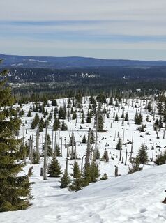 Fotografie z Marcel Pätzold na trase
