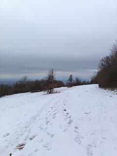 Fotografia z Julika Jármer na trase