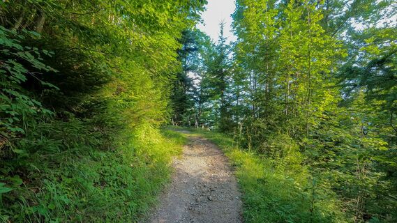am Besinnungsweg - Dien-Mut-Weg