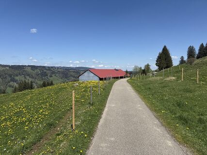 Foto von Similaun entlang der Tour