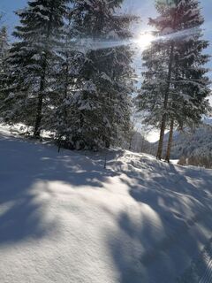 Fotografija s spletne strani R. H na poti