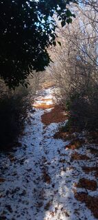 Fotografija s spletne strani Jerome jourda na poti
