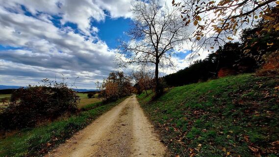 Foto fra Regina Fleischmann underveis på turen