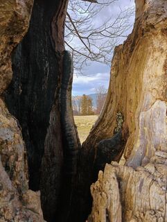 Fotografija s spletne strani Romek Dwornik na poti