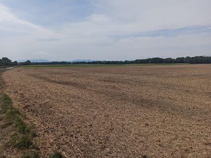 Rückblick auf die Felder und im Hintergrund die Berge