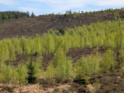 Foto von Floppy 1 entlang der Tour