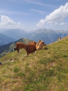 Foto von Magnus Moser entlang der Tour