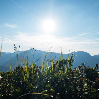 Ausblick Gehrenspitze