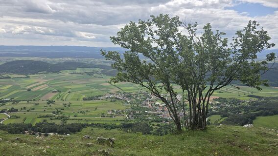 Fotografia z Hieu Duc Tram na trase