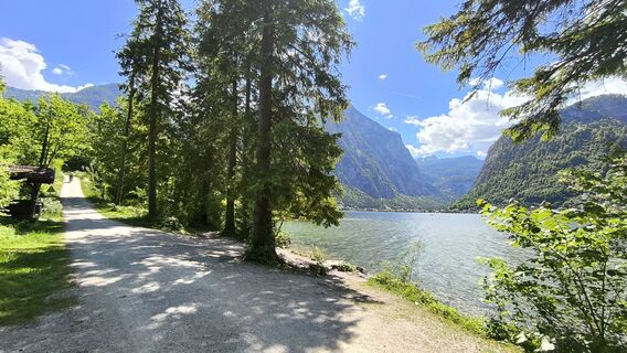 Fotografie de la WilliSt de-a lungul turului