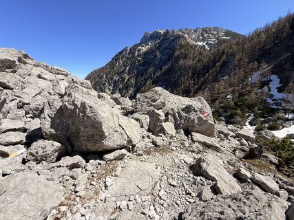 Foto von Natur_erleben_dg entlang der Tour