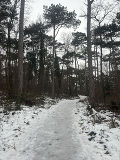 Foto von Arnold Gabor entlang der Tour