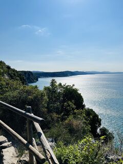 Foto von Michaela Scheurer entlang der Tour