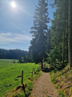 Foto von Christina Fröhlich entlang der Tour