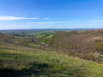 Photo de flexl-f le long du parcours