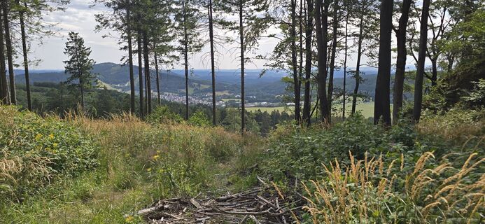 Foto von Edit Szoboszlay entlang der Tour