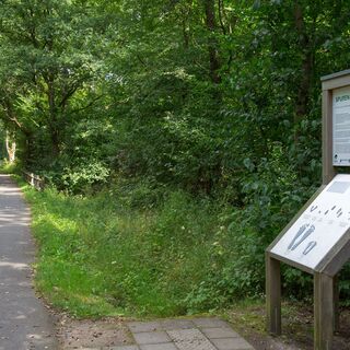 Hevehalbinsel Naturpromenade