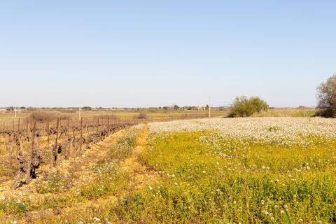 MTB-Tour Sérignan entre Orb et Canal@Karinegregoire (5)