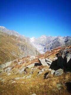 Fotografija s spletne strani froehlth na poti