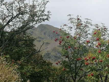 Foto von Turbinio entlang der Tour