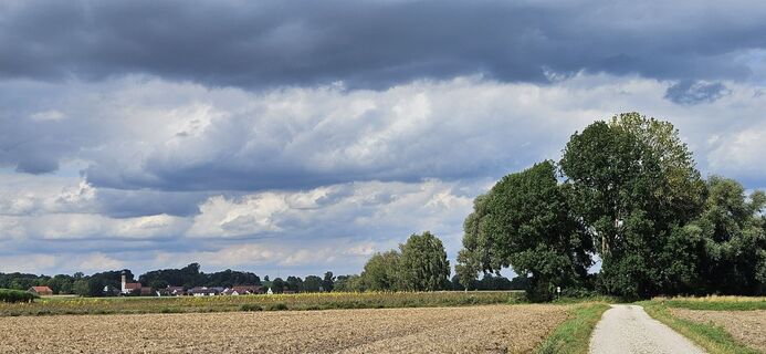 Fotografia z garrincha na trase