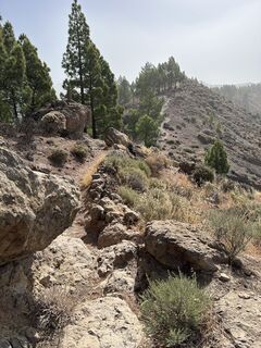 Foto de justasimpleguy a lo largo del recorrido