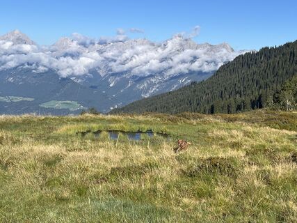 Photo de Jasmin le long du parcours
