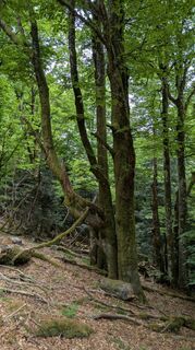 Foto de Richard Schwald a lo largo del recorrido