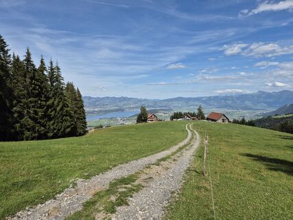 Fotografie z alinradu na trase