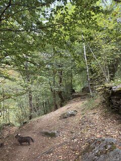 Foto von Koen De Wit entlang der Tour