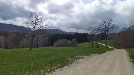 Foto von Ines Velicki entlang der Tour