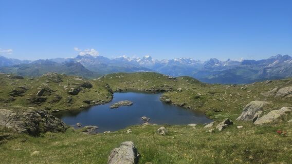 Foto från Teresa Kolbe under resans gång