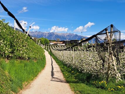 Photo de Egnerute le long du parcours
