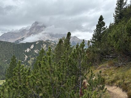 Foto von Ralf Niethammer entlang der Tour