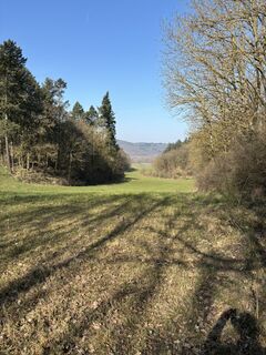 Foto von eifel05 entlang der Tour
