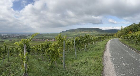 Photo de Norbert Herbig le long du parcours